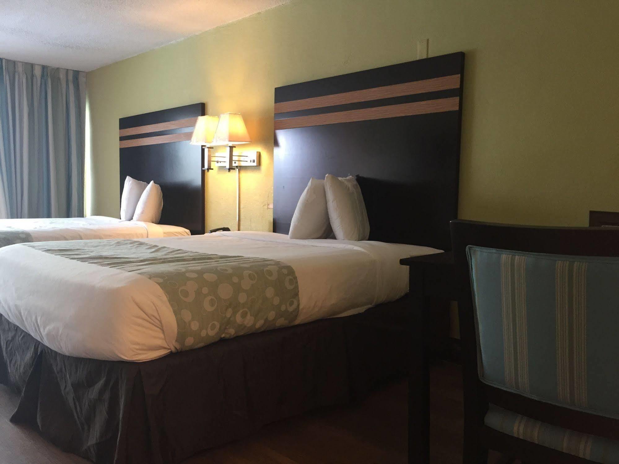 מירטל ביץ' Blu Atlantic Hotel & Suites מראה חיצוני תמונה